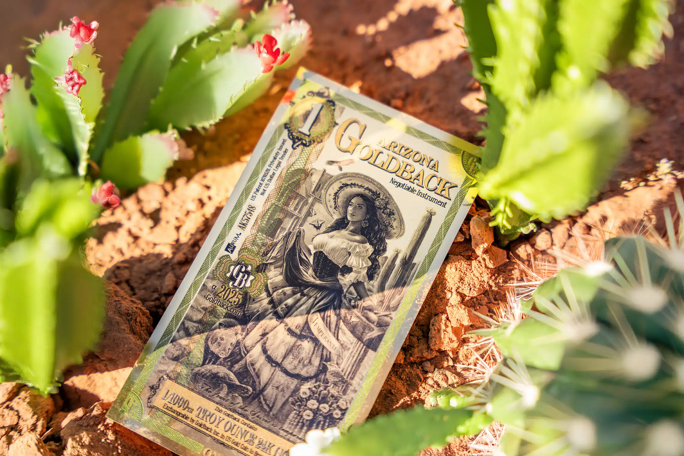 Arizona Goldbacks in a Monument Valley landscape setting